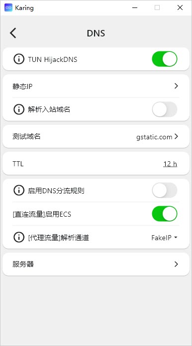 Karing DNS Karing DNS